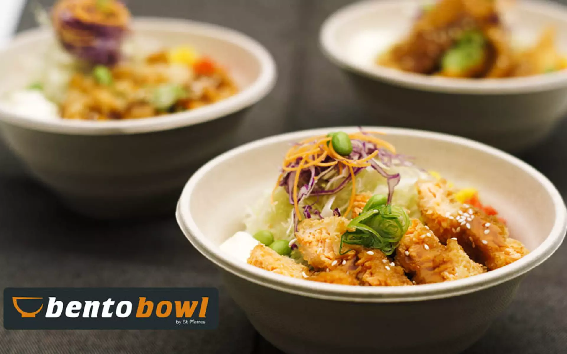 Get Bento Bowl delivered to your door with Delivereasy
